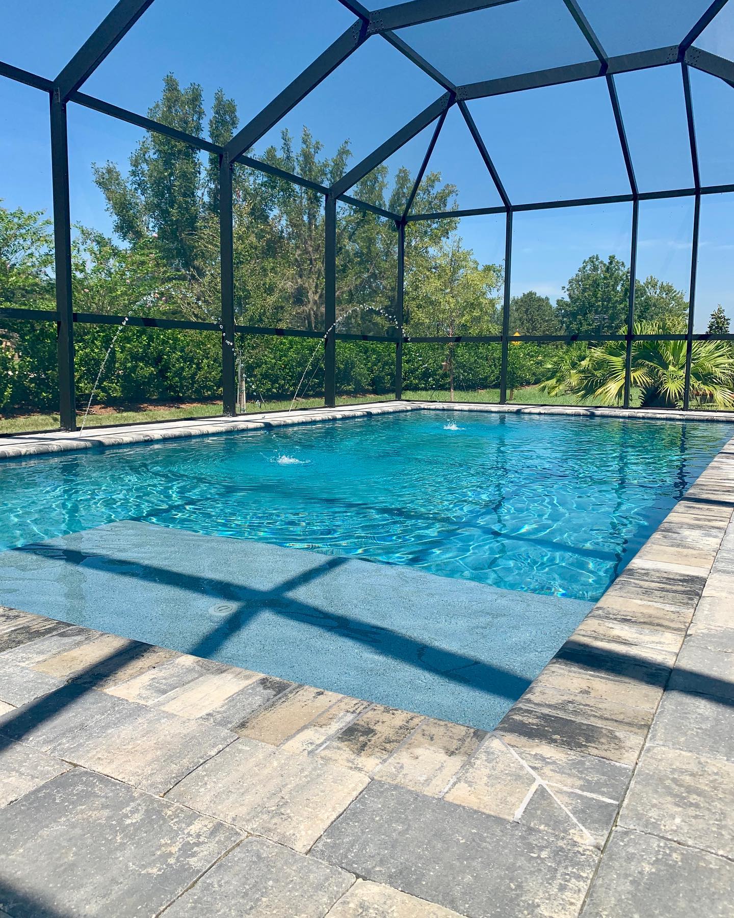 Pool Enclosures 50.jpg